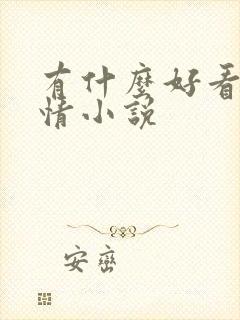 有什么好看的言情小说