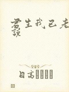 君生我已老的小说