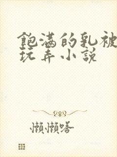 饱满的乳被揉捏玩弄小说封面