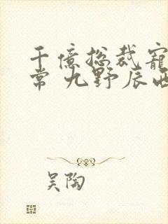 千亿总裁宠妻日常 九野辰西