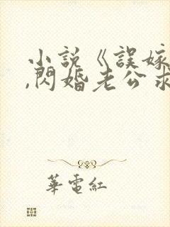 小说《误嫁豪门,闪婚老公求见面》