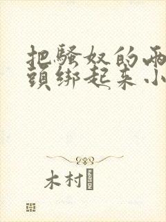 把骚奴的两个乳头绑起来小说