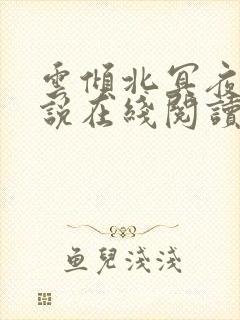 云倾北冥夜煊小说在线阅读