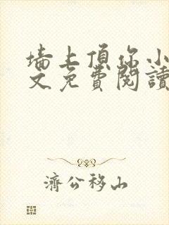 墙上顶你小说全文免费阅读