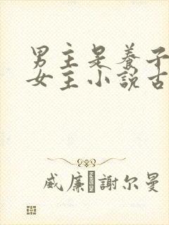 男主是养子爱上女主小说古言封面