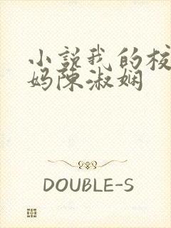 小说我的校长妈妈陈淑娴封面