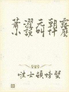 萧濯元朝露原著小说叫什么