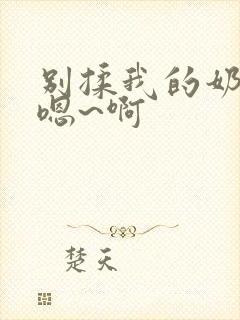 别揉我的奶头 嗯~啊封面