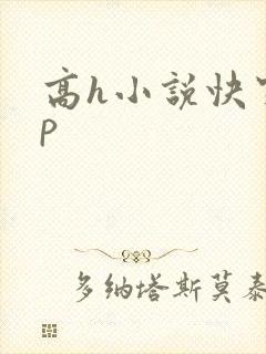 高h小说快穿np
