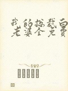 我的总裁白富美老婆全免费的小说