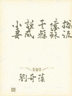 小说千亿总裁宠妻成瘾苏流云封面