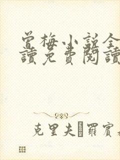 曾梅小说全文阅读免费阅读最新章节