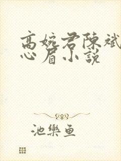 高婉君陈斌和赵心眉小说