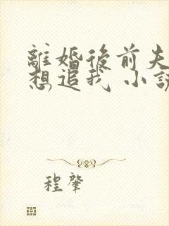 离婚后前夫总是想追我 小说