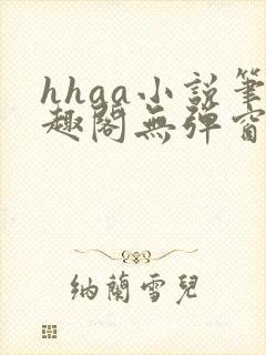 hhaa小说笔趣阁无弹窗最新章节封面