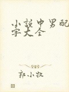 小说中男配角名字大全封面