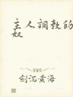 主人调教的小男奴