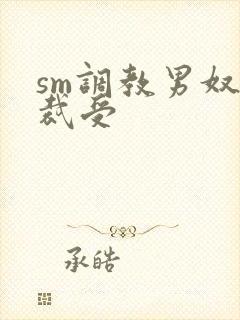 sm调教男奴总裁受