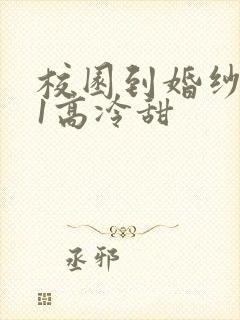 校园到婚纱1V1高冷甜封面