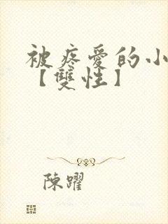 被疼爱的小美人【双性】封面