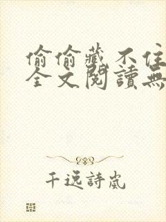 偷偷藏不住小说全文阅读无弹窗