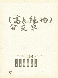 (高h,纯肉)公交车