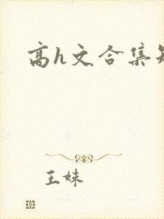 高h文合集短篇