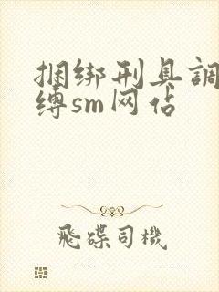 捆绑刑具调教束缚sm网站