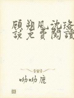 顾朔风沈珞舒小说免费阅读最新章节封面