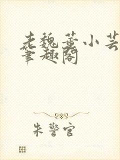 老魏董小芸全文笔趣阁