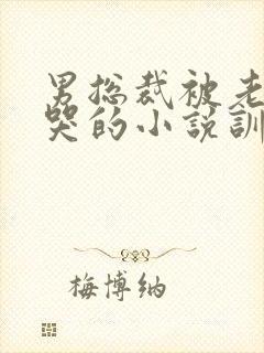 男总裁被老婆揍哭的小说训诫