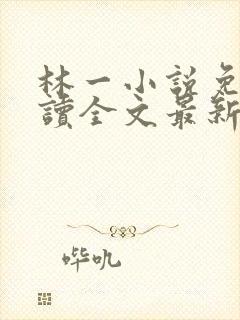 林一小说免费阅读全文最新章节封面