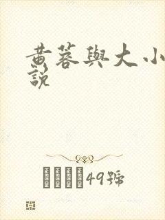 黄蓉与大小武小说
