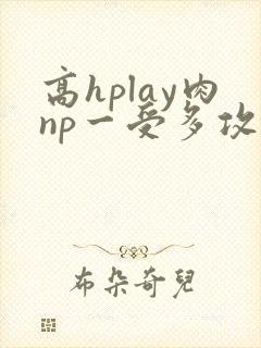 高hplay肉np一受多攻