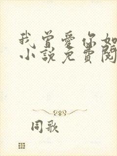 我曾爱你如尘埃小说免费阅读全文