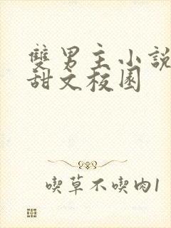 双男主小说推荐甜文校园封面