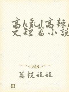 高h乱l高辣h文短篇小说男男封面