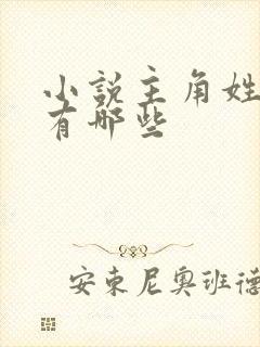 小说主角姓林的有哪些封面