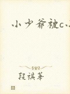 小少爷被c小说封面