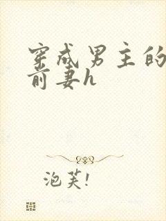 穿成男主的炮灰前妻h