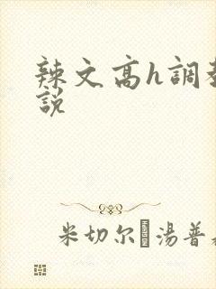 辣文高h调教小说封面