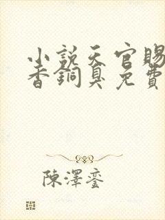 小说天官赐福墨香铜臭免费全文下载