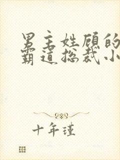 男主姓顾的所有霸道总裁小说