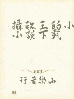 摄政王的小闲妻小说下载