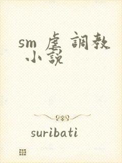 sm 虐 调教 小说