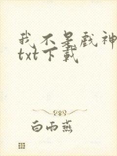 我不是戏神全本txt下载