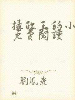 摄政王的小殿下免费阅读封面