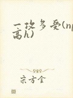 一攻多受(np高h)