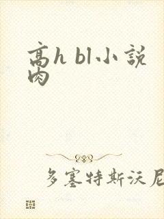 高h bl小说肉