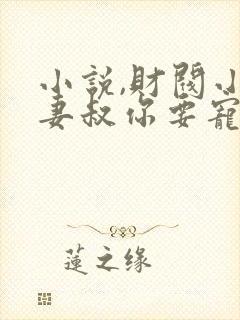 小说,财阀小娇妻叔你要宠坏我了